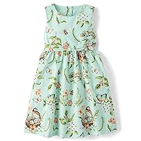 Gymboree Baby Girls' and Toddler Sleeveless Dressy Special Occasion Dresses
