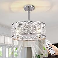 Caged Ceiling Fan with Lights, Indoor Enclosed 6 Speeds Reversible Ceiling Fans with Remote Control, Crystal Modern Industrial Ceiling Fan Lights for Living Room Bedroom Kitchen