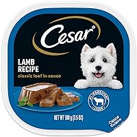 CESAR Adult Wet Dog Food Classic Loaf in Sauce Lamb Recipe, 3.5 oz. Easy Peel Trays, Pack of 24