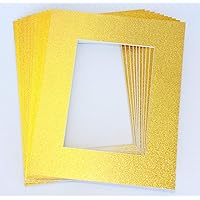 topseller100, Pack of 10 GOLD 11x14 Picture Mats Matting with White Core Bevel Cut for 8x10 Pictures