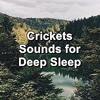 Insomnia Help Cricket Sound Insomnia Help Cricket Sound MP3 Music