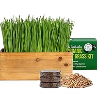 The Cat Ladies Cat Grass Kit (Organic) with Rustic Wood Planter, Seed and Soil. Easy to Grow for Indoor or Outdoor Cats, Dogs and Other Pets. Prevent Hairballs and Aid Digestion