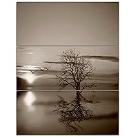 Designart Flying Birds and Lonely Tree-Extra Large Wall Art Landscape-28X36 3 Piece, 28'' H x 36'' W x 1'' D 3P