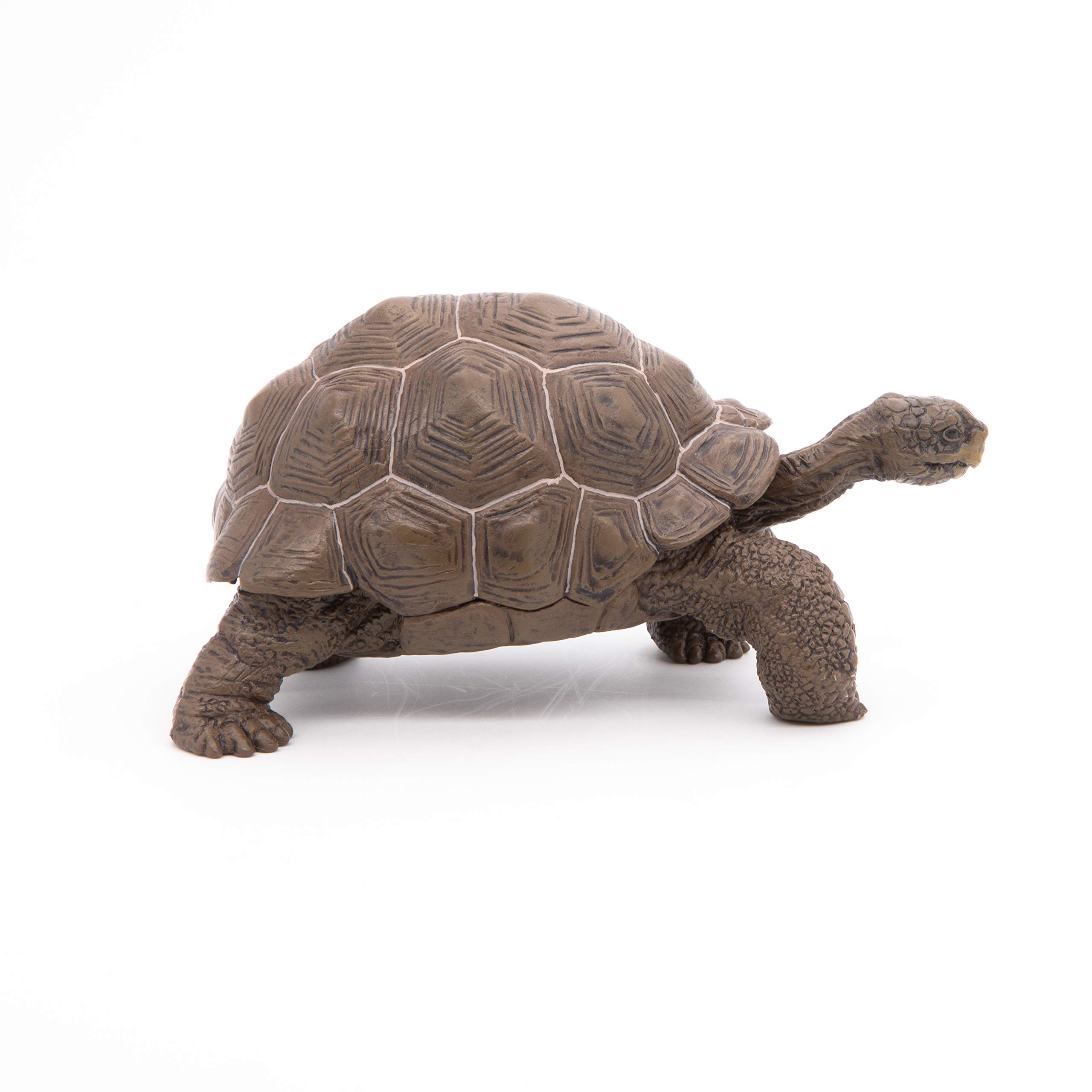 Papo Galapagos Tortoise Toy Figure