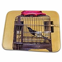 3dRose Danita Delimont - Bird - Songbird in cage, Hanoi, Vietnam - Dish Drying Mats (ddm-226098-1)