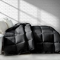 Cooling Down Alternative Comforter,50% Viscose Derived from Bamboo Comforter Queen Size,Black Ultra Soft Breathable Plush Duvet Insert All Season Machine Washable,8 Corner Tabs 90X90 Inches