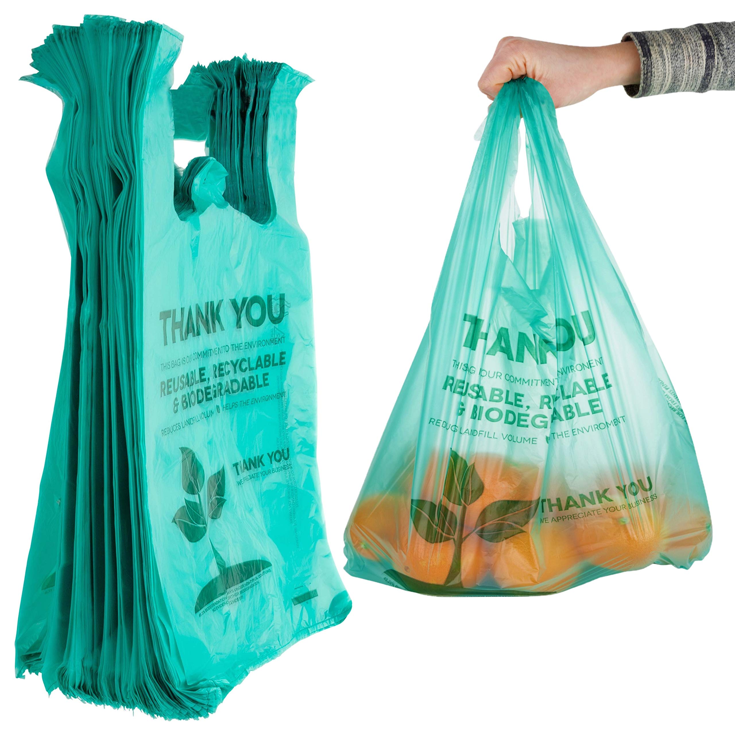 Is It Safe to Bring Your Reusable Bags Back to the Grocery Store? - The  Allegheny Front