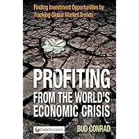 Profiting from the World's Economic Crisis Profiting from the World's Economic Crisis Hardcover Kindle