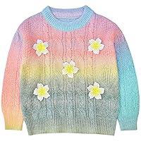 Peacolate 2-6 Years Little Girl Knit Sweater Pullover Embroider Flower Gradient Color Top(Pink,3T)