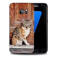Adorable CAT Kitten Feline #46 Phone CASE Cover for Samsung Galaxy S7 Edge