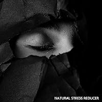 Natural Stress Reducer - Soothing Sounds Collection That Will Soothe Your Nerves and Help You Recapture Your Body and Mind Natural Stress Reducer - Soothing Sounds Collection That Will Soothe Your Nerves and Help You Recapture Your Body and Mind MP3 Music