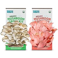 Organic Mushroom Grow Kit - Oyster and Pink Mushroom 2-Pack Variety - Indoor Non-GMO Growing Kit - Produces 3-4 Servings and Grows in 10 Days
