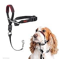 HALTI Optifit Headcollar - To Stop Your Dog Pulling on the Leash. Adjustable, Reflective and Lightweight, with Padded Nose Band. Dog Training Anti-Pull Collar for Medium Dogs (Size Medium)