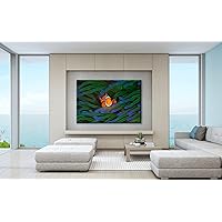 CRYPTONITE Clownfish Acrylic Home Decor | Modern Interior Design | Acrylic Wall Art I Picture Photo Printing for Wall Decor | Multiple Size and Wood Support Options (Wide 12