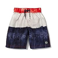 Speedo Boy's Swim Trunk Knee Length Boardshort E-Board Printed