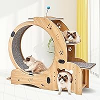 Cat Exercise Wheel for Indoor Cats Diameter 31.4