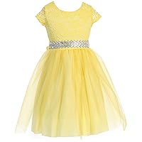 Flower Girl Dress Rhinestone Belt Tulle Lace Formal Casual Party Holiday