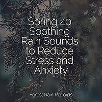 Spring 40 Soothing Rain Sounds to Reduce Stress and Anxiety Spring 40 Soothing Rain Sounds to Reduce Stress and Anxiety MP3 Music