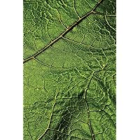 Leaf Veins Notebook: Blank Journal Diary Memoir Log Logue (Go Green 150 Lined)