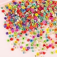 1150 PCS Small Dried Flowers for Crafts - Mini Dried Flowers for Resin, Tiny Natural Real Dried Pressed Flowers Bulk for DIY Jewelry Earrings Epoxy Molds, Candles Soap Making