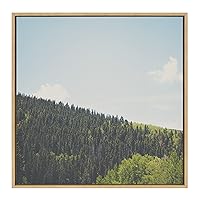 Sylvie Above the Tree Line Framed Canvas Wall Art by Laura Evans, 30x30 Natural, Decorative Forest Landscape Art for Wall