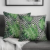 Tropical Palm Tree Leaf Pillow Case 16 X 16 Inch 2 Pack Green Leaves Throw Pillow Cover with Geometric Decorative Square Cushion Covers Cotton Linen Pillowcase for Home Sofa Bedroom Decor