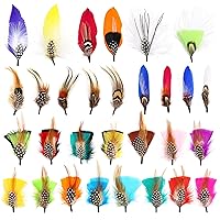 Hat Feathers 30 Styles Natural Assorted Feathers for Fedora Hats Accessories DIY Craft,Western Cowboy Hats,Christmas Party Hats,Oktoberfest Hats