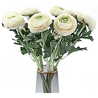 Artificial Ranunculus Flowers with Real Touch Stem, Silk Ranunculus Flowers(10 Pack) (White)
