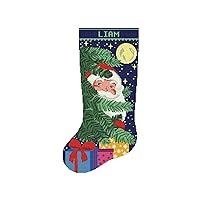 Cross Stitch Patterns Christmas Stocking PDF, Personalized Counted Modern Easy DMC Holiday Stockings, Cute Santa Claus, Tree, Gifts, Moon, Stars, Simple Design for Beginner DIY, Digital Download