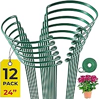 12 Pack Tall Snake Plant Support Stakes – 10