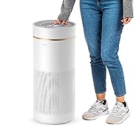 IRIS USA WOOZOO APF-28 Air Purifiers for Home Large Rooms with H13 True HEPA Filter, Remove Up to 99.97% of Particles Pollen Pet Dander Smoke and Odor with Auto Mode and Air Quality Indicator, White