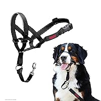 HALTI Headcollar - To Stop Your Dog Pulling on the Leash. Adjustable, Reflective and Lightweight, with Padded Nose Band. Dog Training Anti-Pull Collar for Large Dogs (Size 5, Black)