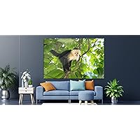 CRYPTONITE Acrylic Modern Wall Art Monkey - Animals In The Wild Series - Modern Interior Design - Acrylic Wall Art - Picture Photo Printing Artwork - Multiple Size Options (Wide 18