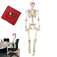 Evinis 5.4ft/165cm Halloween Realistic Full Body Skeleton Life Size Human Bones with Movable Joints for Halloween Party Prop Decoration 
