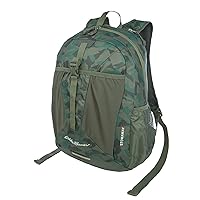 Eddie Bauer Stowaway Packable Backpack-Made from Ripstop Polyester, Sprig, 30L