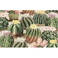 Paper Placemats for Dining Table Mats Disposable Table Linens Cactus Decor Succulents Pk 24 Table Placemats