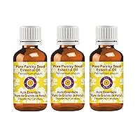 Deve Herbes Pure Parsley Seed Essential Oil (Petroselinum crispum) Steam Distilled (Pack of Three) 100ml X 3 (10 oz)