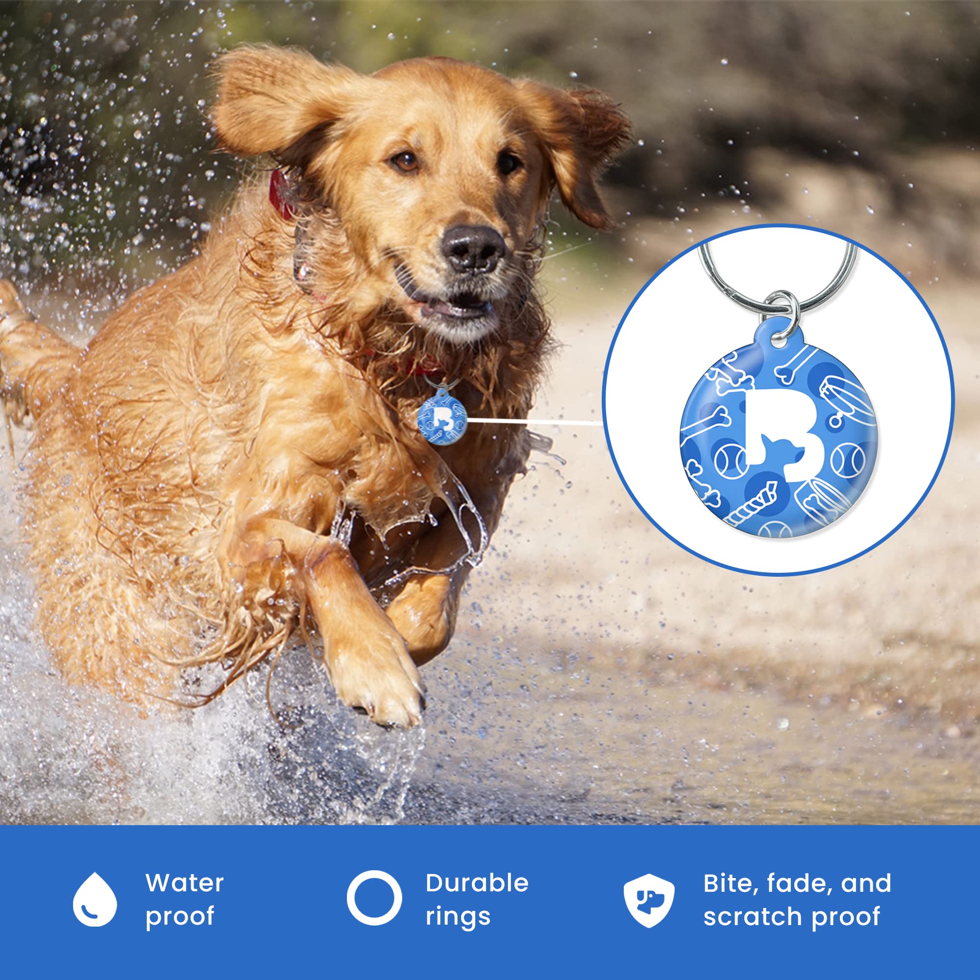 ByteTag QR Code Pet ID - Online Pet Profile - GPS Alerts - Unlimited Contact Information - Privacy Control (Woof Pack)