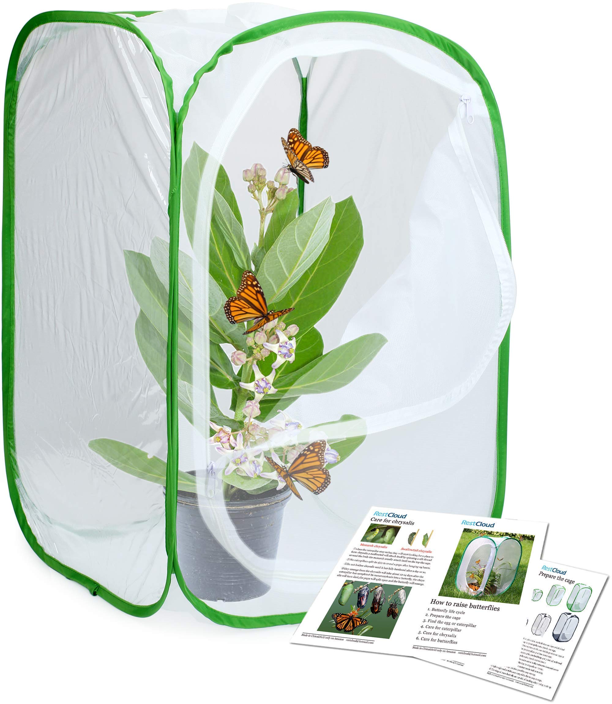 Insect and Butterfly Habitat Cage Terrarium Pop-up 23.6 Inches Tall with 10Pcs 60Ml Floral Tubes with Rack Holder for Milkweed Cuttings