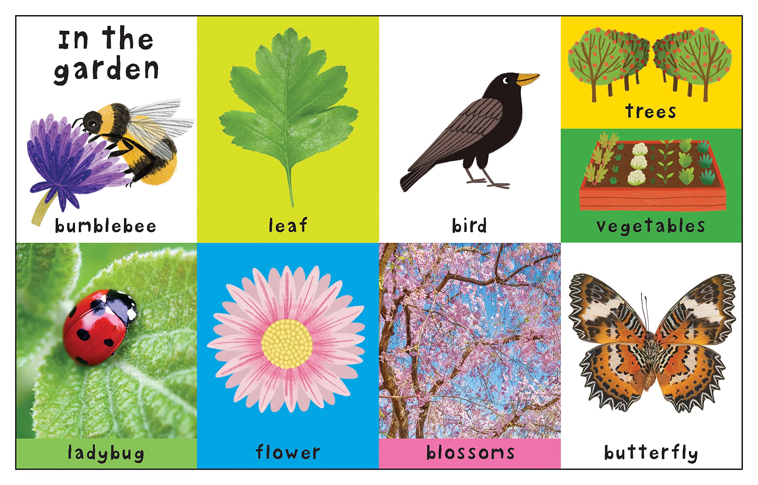 First 100 Padded: Nature Words