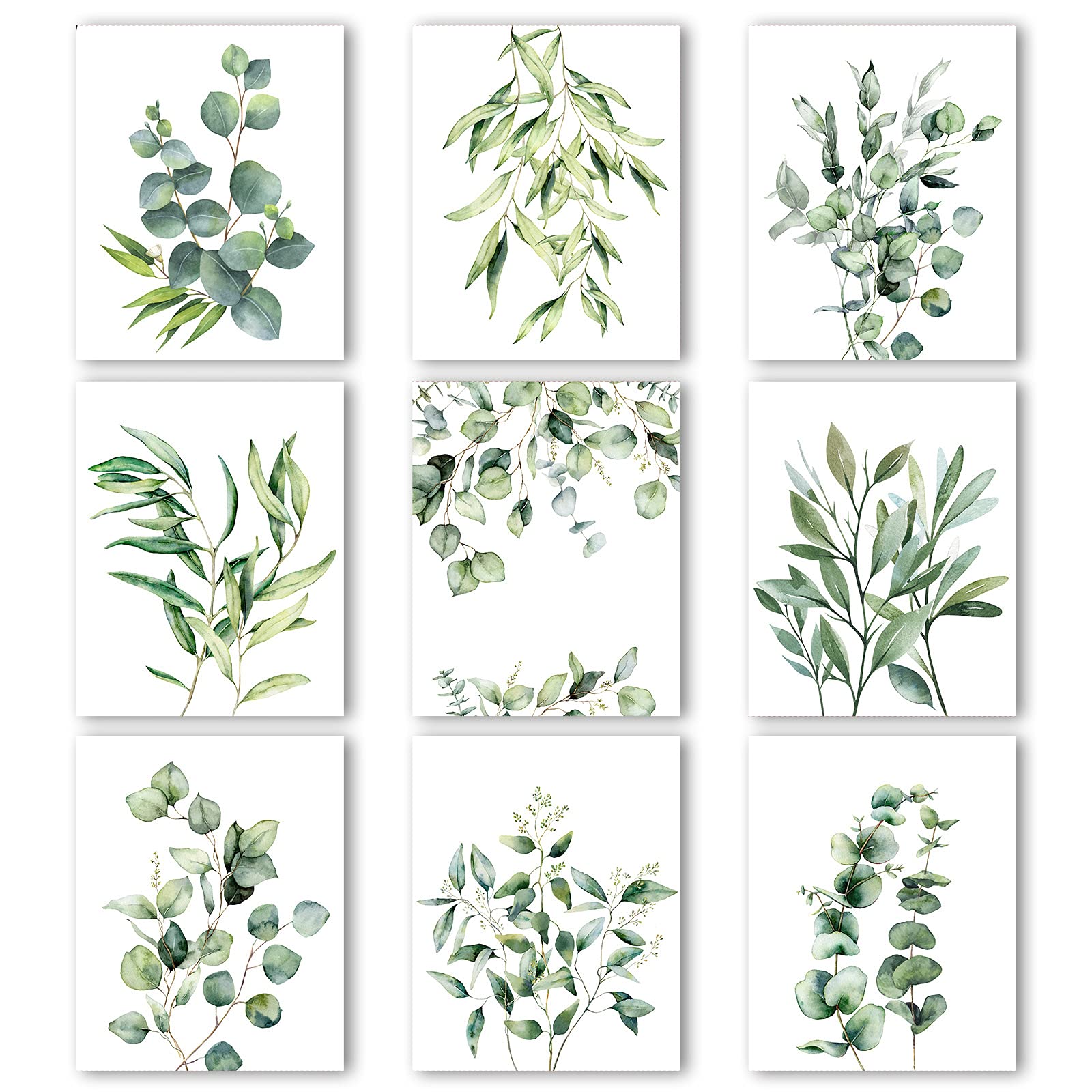 Mua Zonon 9 Pieces Botanical Plant Wall Art Prints Eucalyptus Wall ...