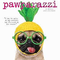 Graphique 2024 Pawparazzi Mini Wall Calendar | 7” x 7” | Thick Paper | Home & Office Organizer | Large Monthly Grid | 3 Languages & Marked Holidays | 4 Month Preview Page for 2025