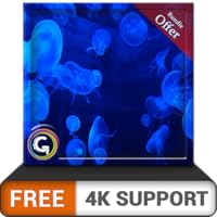 FREE Blue Jelly Aquarium HD - Enjoy the beautiful Jelly fish on your HDR 4K TV, 8K TV and Fire Devices as a wallpaper, Decoration for Christmas Holidays, Theme for Mediation & Peace