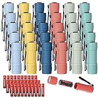 30 Pack 9 LED Flashlight Bulk Plastic Handheld Flashlight Kids Flashlight with Lanyard, Each with 3 AAA Batteries Included for Kids Night Reading Party Camping Emergency Hunting, 6 Colors