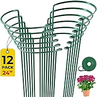 12 Pack Tall Snake Plant Support Stakes – 10