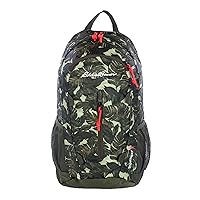 Eddie Bauer Stowaway Packable Backpack-Made from Ripstop Polyester, Dark Loden, 20L