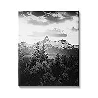 Stupell Industries Mountain Range Cloudy Sky Landscape Tall Tree Photography, Designed by Daniel Sproul Canvas Wall Art, 16 x 20, Grey