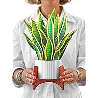 Freshcut Paper Pop Up Cards, 3D Popup Greeting Cards, 12 inch Life Sized Forever Plant with Note Card and Envelope, Faux Snake Plant, Paper House Plants