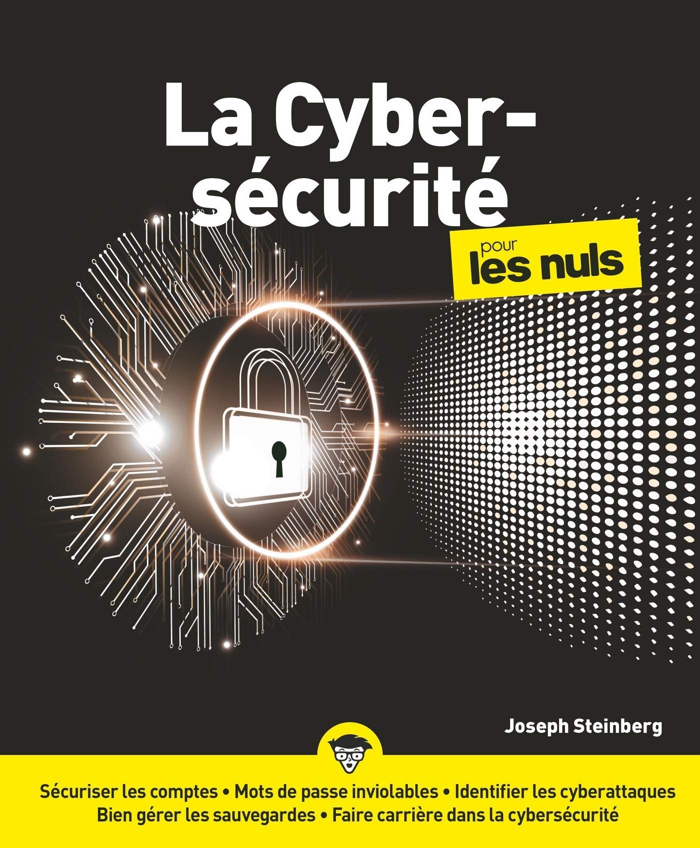 La Cybersécurité pour les Nuls, grand format (French Edition)