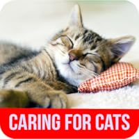 Caring For Cats